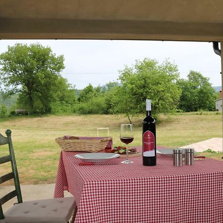 Villa Zwei Zedern Pićan 外观 照片